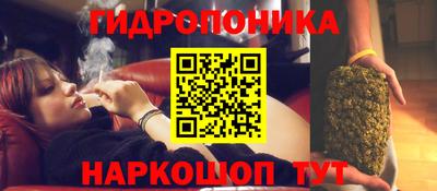 прущие крисы Пушкино