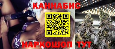apvp Партизанск
