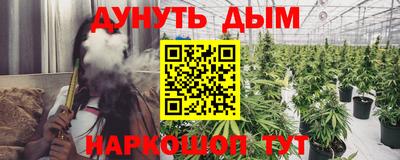 apvp Партизанск