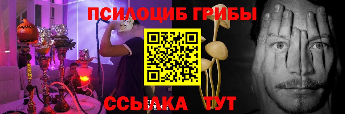 Псилоцибиновые грибы GOLDEN TEACHER Среднеуральск
